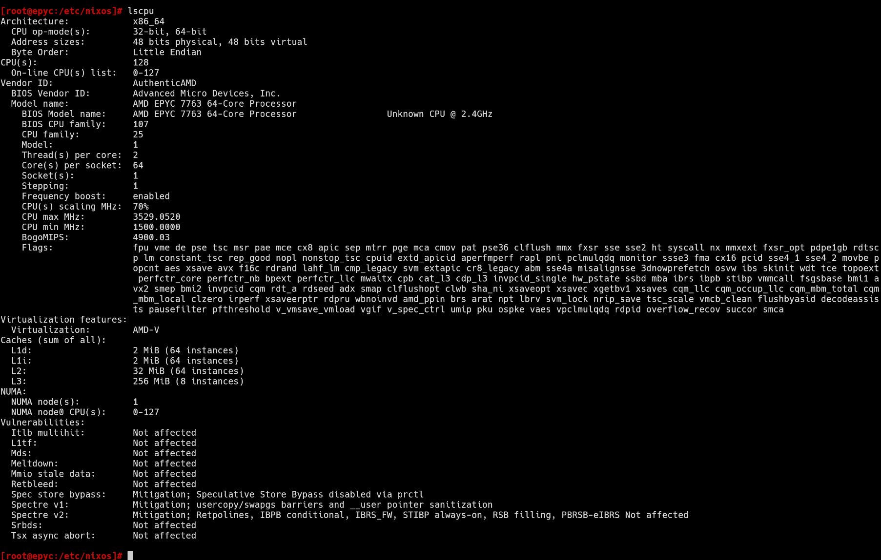 Raito Bezarius raito nixos paris NixOS Paris Server